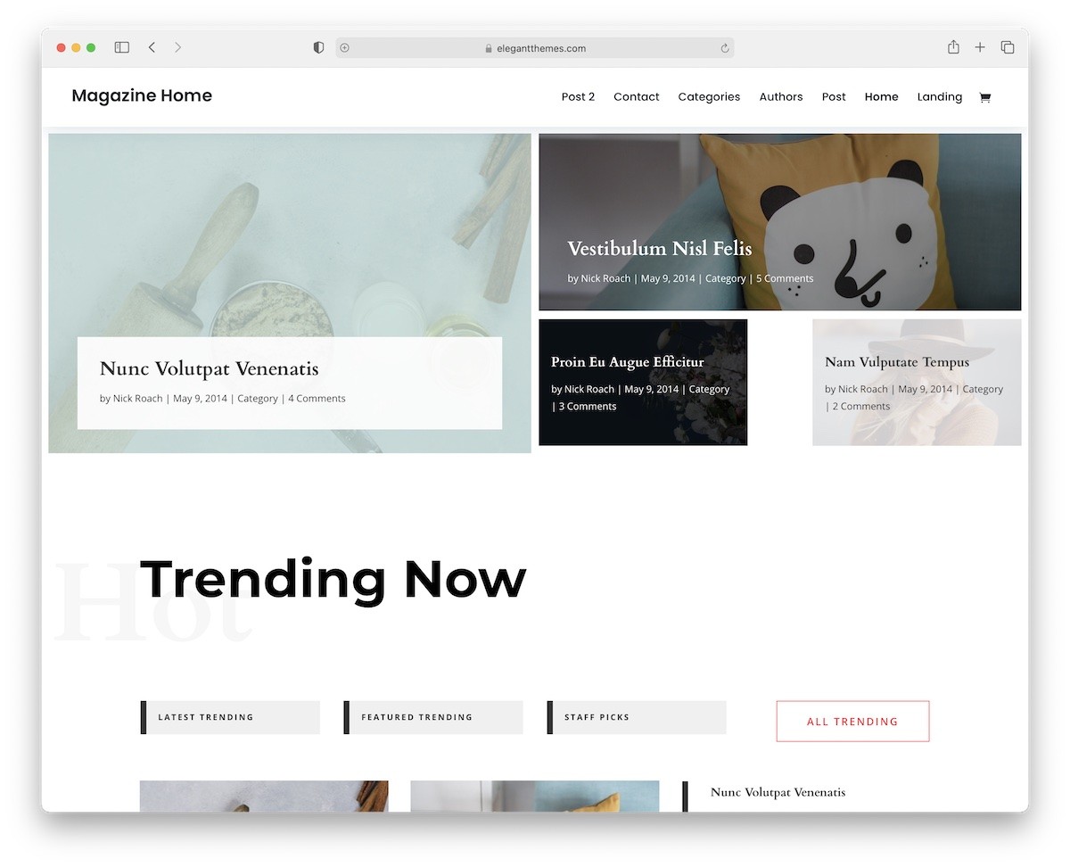 tema hiburan divi wordpress