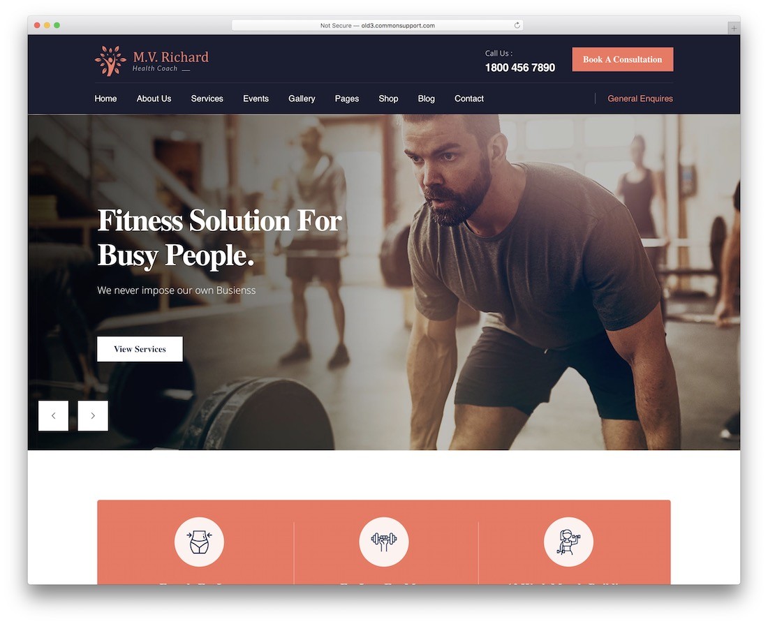 thème de remise en forme wordpress mv richard