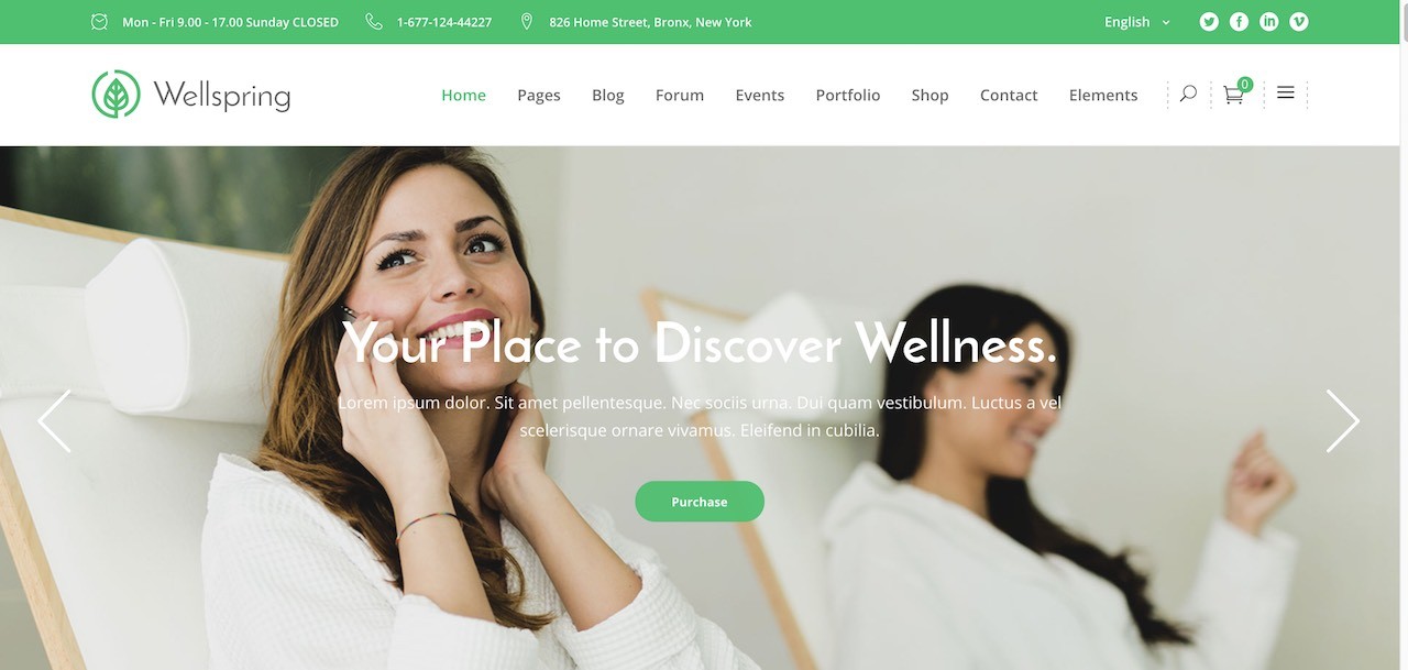 wellspring-a-health-lifestyle-wellness-theme-CL