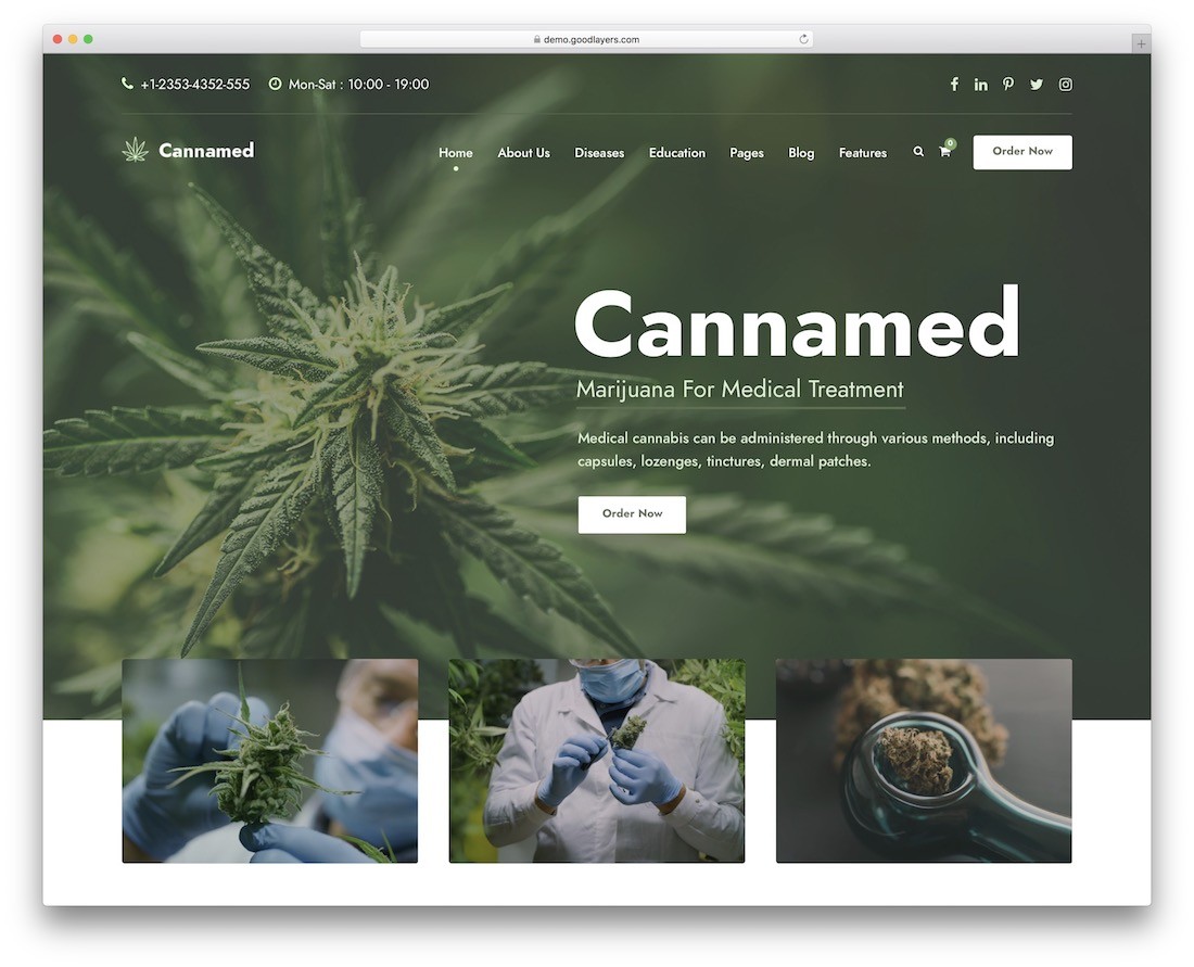 Cannamed medycyna alternatywna motyw wordpress