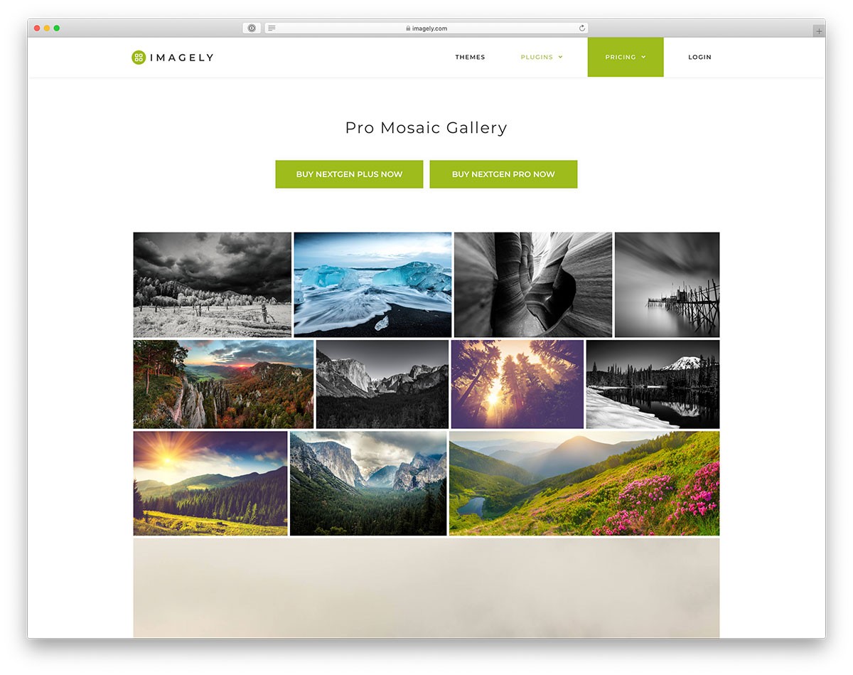 NextGen Gallery - 流行的 WordPress 画廊插件