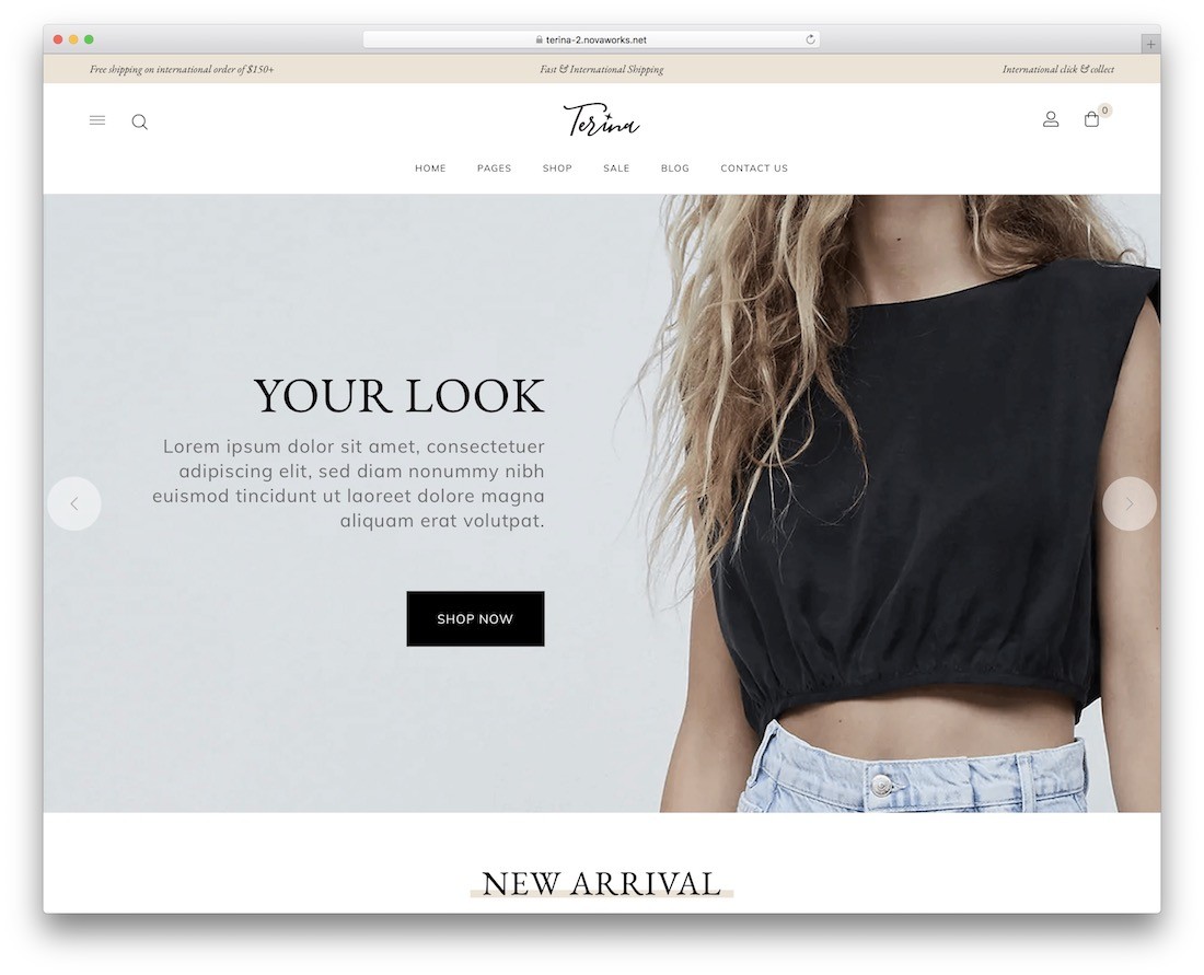 terina design plano wordpress tema