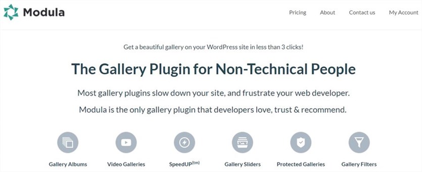 WordPress Modula 图片插件