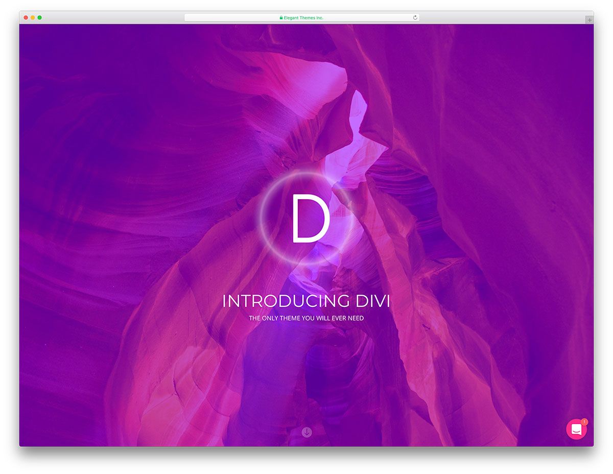 Divi-最速のビジネスWordPressテーマ