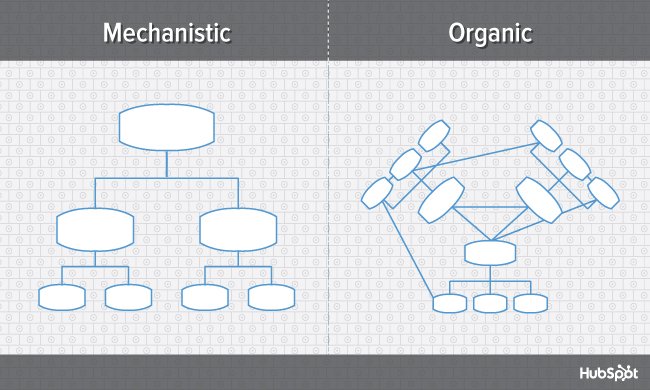 Struktura organizacyjna mechanistyczna a organiczna, porównana na dwóch wykresach obok siebie