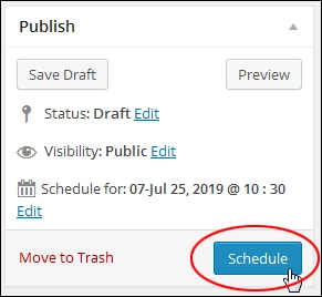 How To Schedule WP Posts