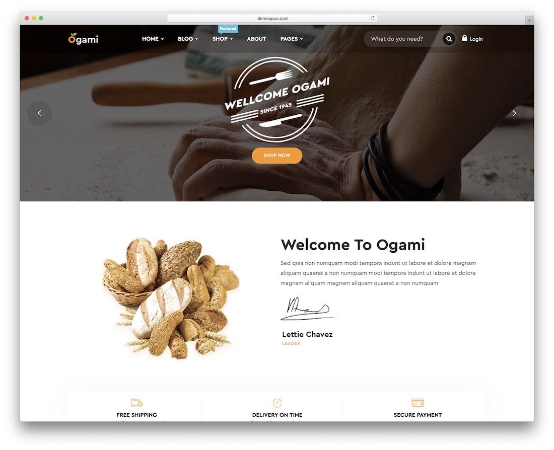 ogami wordpress 主题