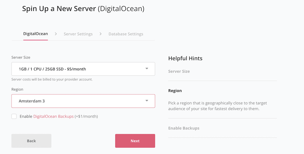 Memilih opsi untuk server Anda di SpinupWP.