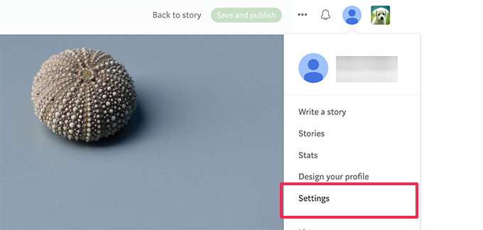 帐号设定 Account settings