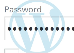 Comment réinitialiser votre mot de passe WordPress