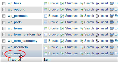 phpMyAdmin 데이터베이스 - mySQL 데이터베이스 테이블 - wp_users 테이블.