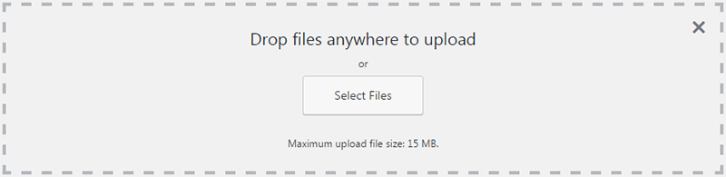 wordpress upload files