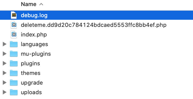 wordpress debug file