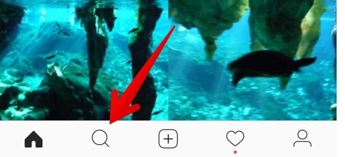 Instagram 操作栏的图像，带有指向搜索按钮的箭头。