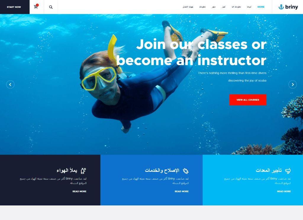 Briny — 水肺潜水学校和水上运动 WordPress 主题 + RTL