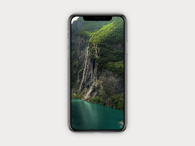 Простой iPhone X