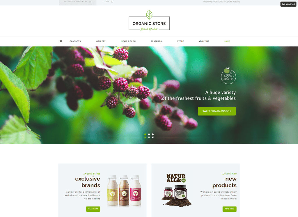 Toko Organik - Toko Produk Eco Tema WordPress + RTL