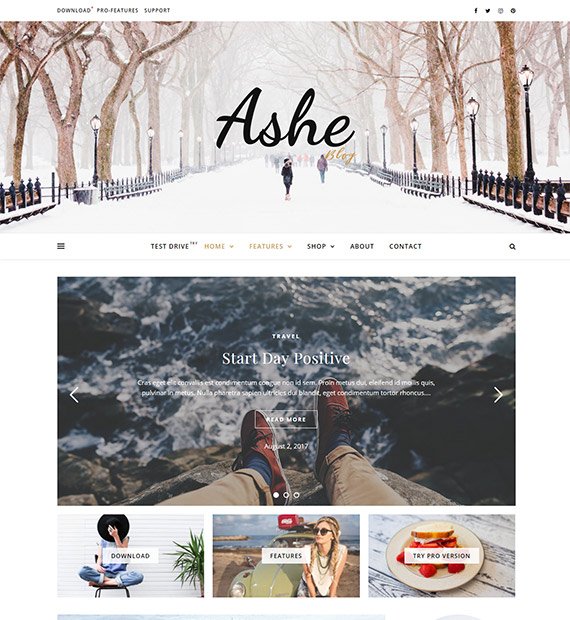 10+ Best and Free WordPress Blog Themes 2021