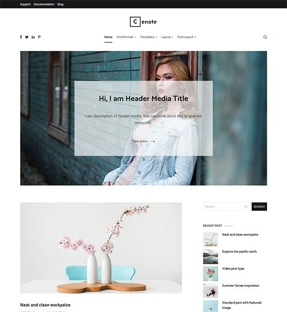 10+ Best and Free WordPress Blog Themes 2021