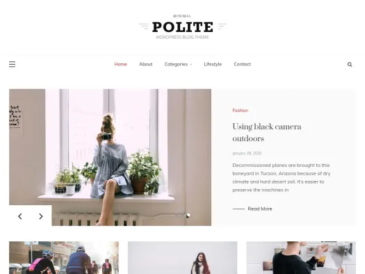 Responsive WordPress Themes