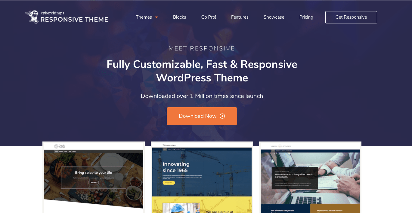 7+ Best Responsive WordPress Themes 2021