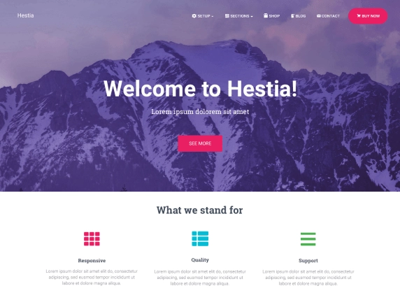 Business Theme Hestia