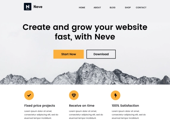 Business Theme Neve