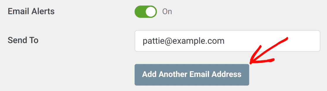Haga clic en el botón Agregar otra dirección de correo electrónico
