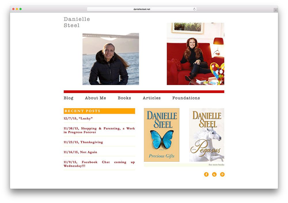 daniellesteel-ünlü-yazar-web-site-wp