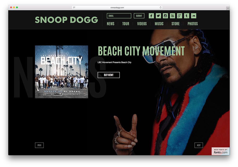 snoopdogg-hip-hop-sanatçı-web sitesi-wordpress kullanan