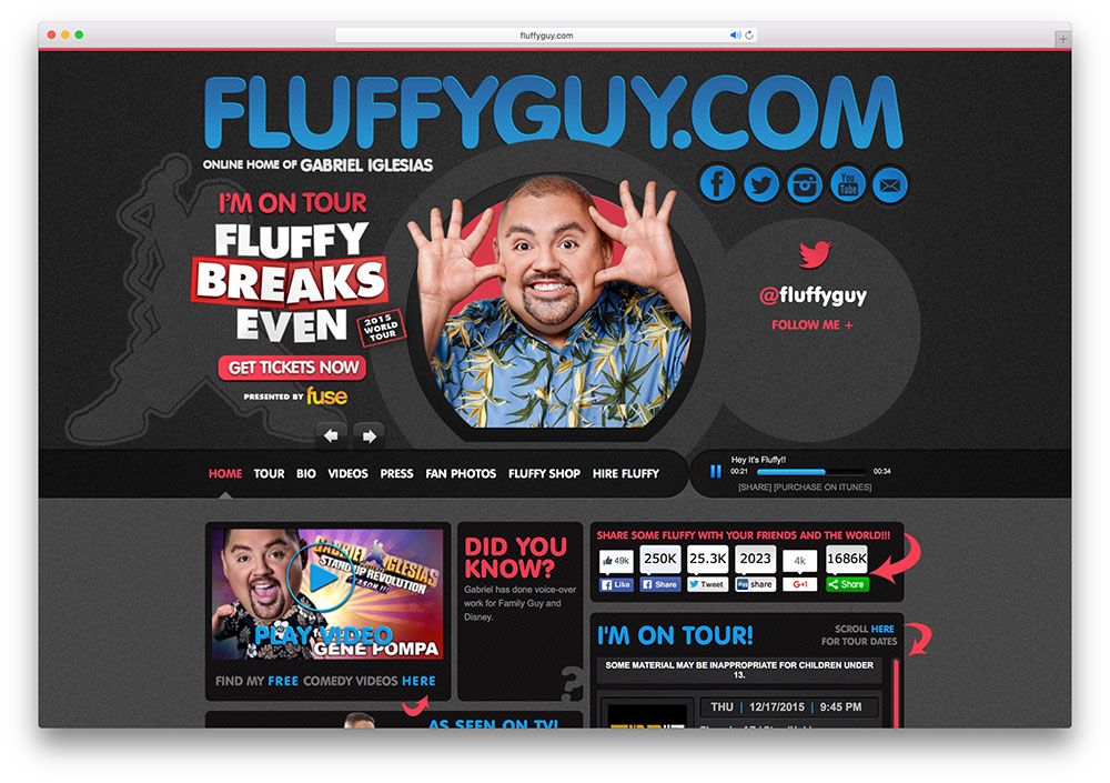 wordpress ile fluffyguy-çevrimiçi-ünlü-sitesi