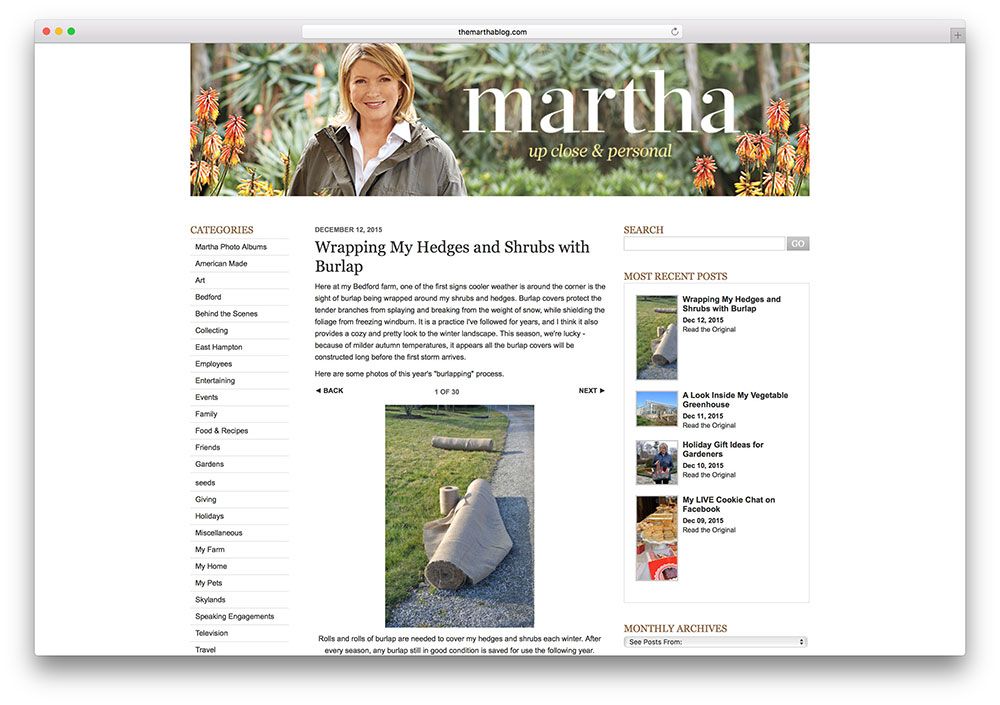 themarthablog-tv-kişilik-web sitesi-kullanarak-wordpress