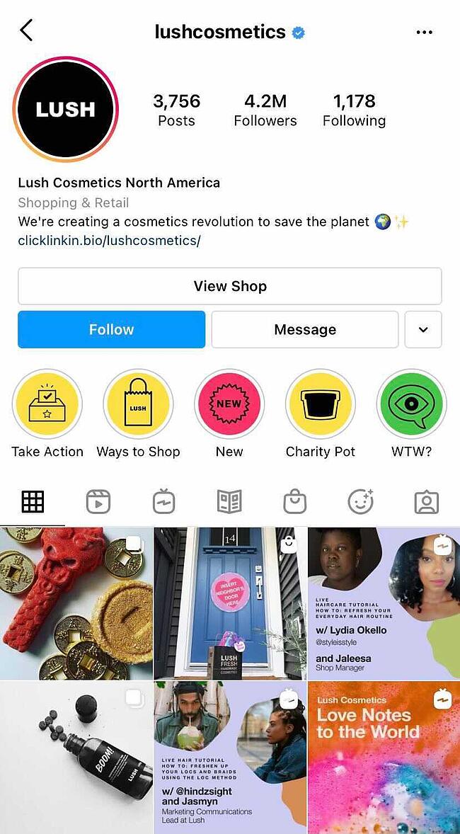 Instagram 上社交媒体内容营销的郁郁葱葱的 Instagram 个人资料示例