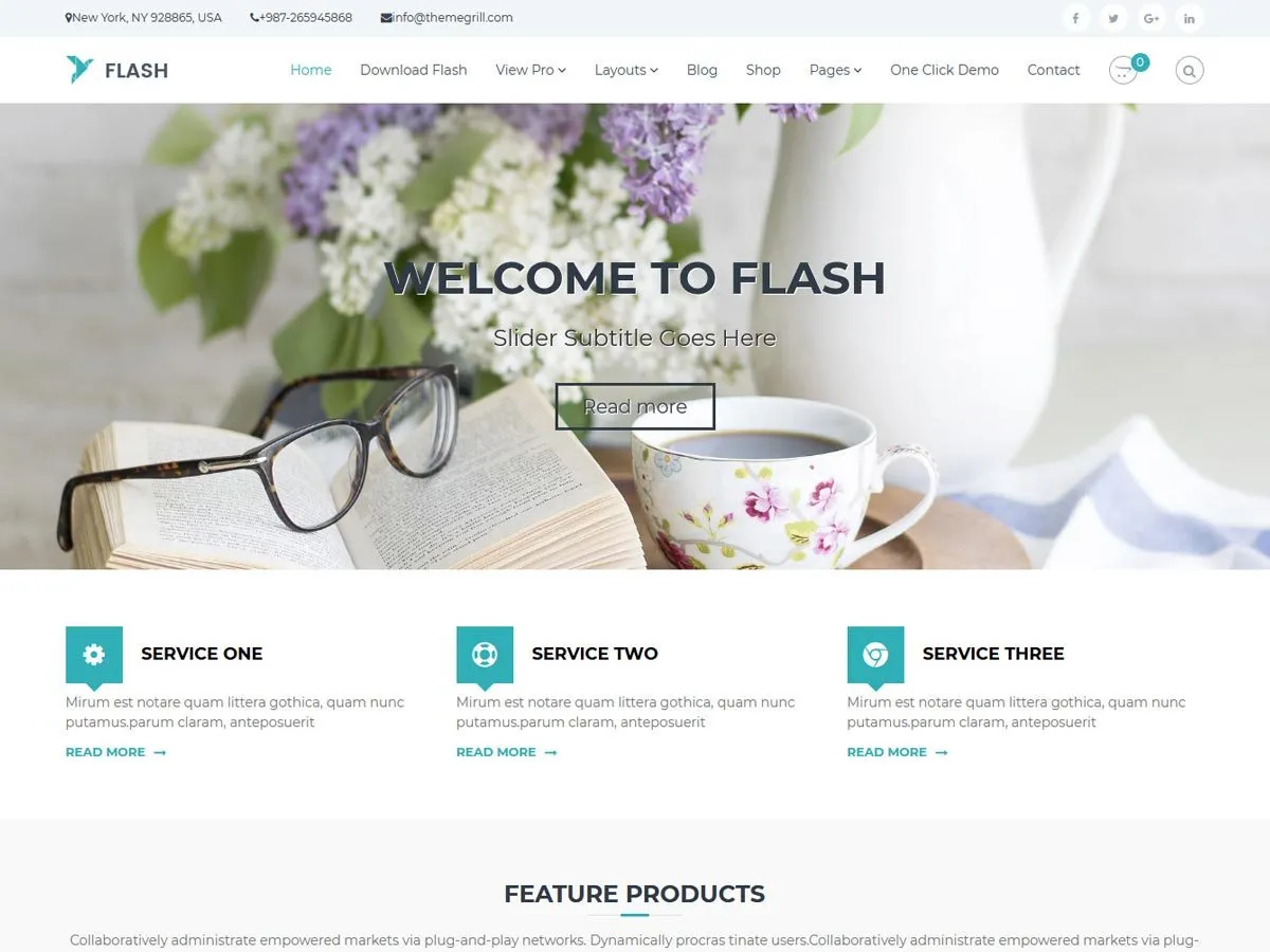 Flash WordPress teması