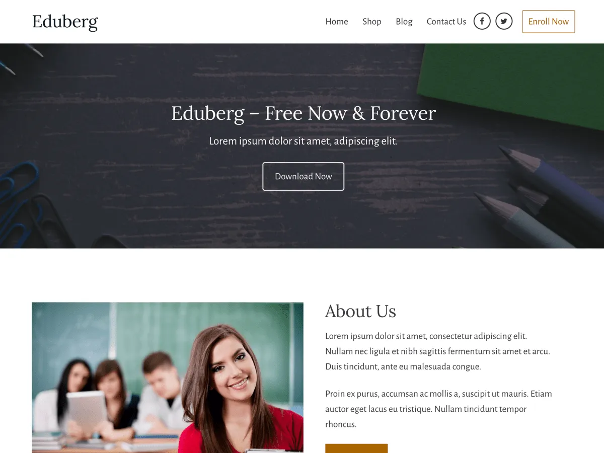 Eduberg WordPress Teması