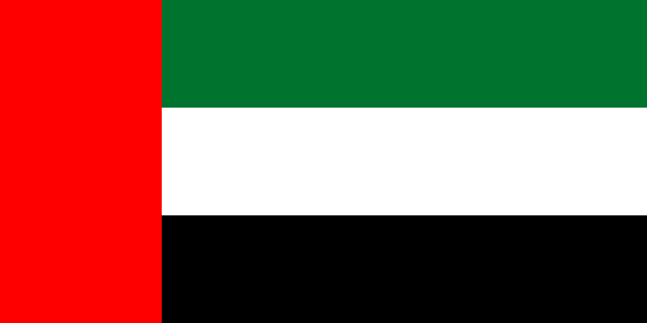 UAE Dubai flag