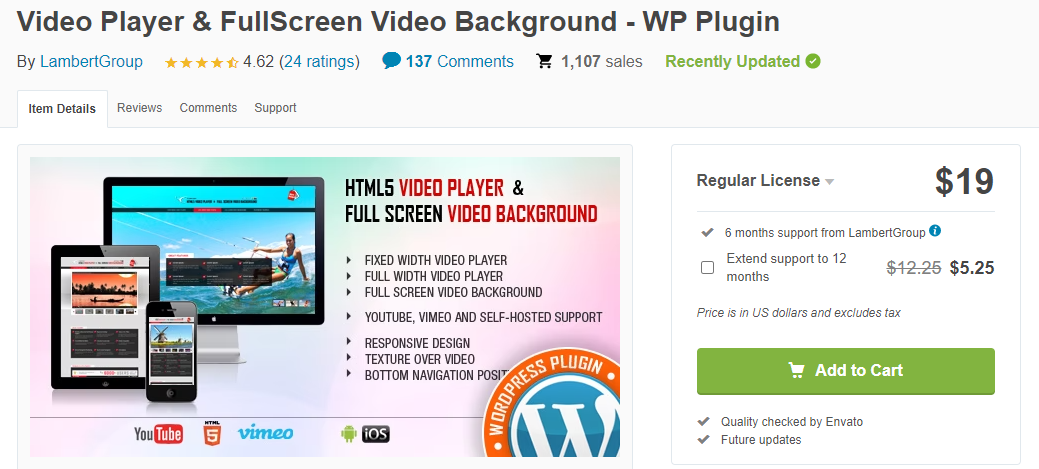 wordpress-video-background-14