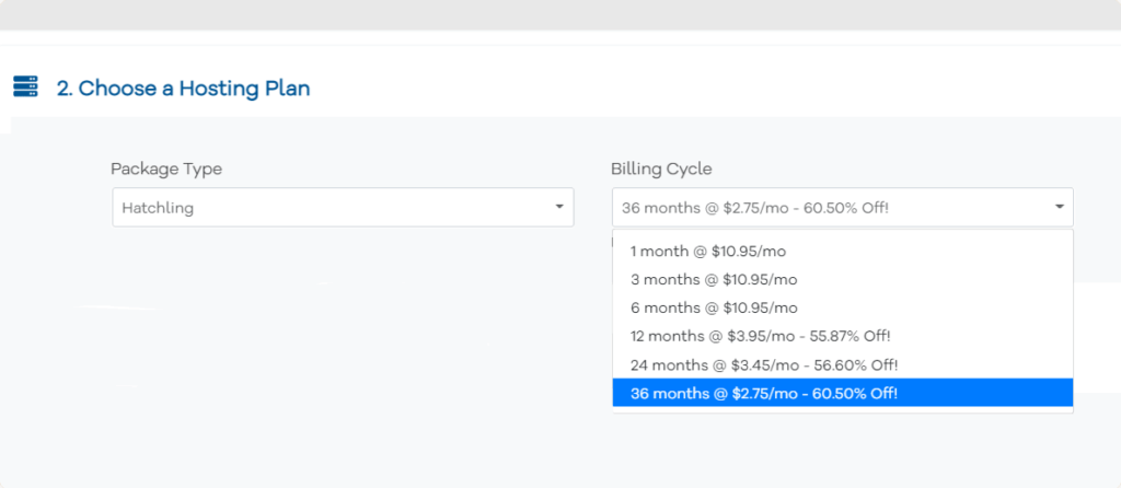 Hostgator hosting plan checkout