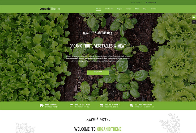 Bio-Bauernhof & Lebensmittel WordPress-Theme